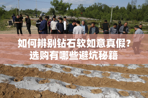 如何辨别钻石软如意真假？选购有哪些避坑秘籍
